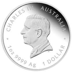 Stříbrná mince 1 Oz One Love 2025 Proof