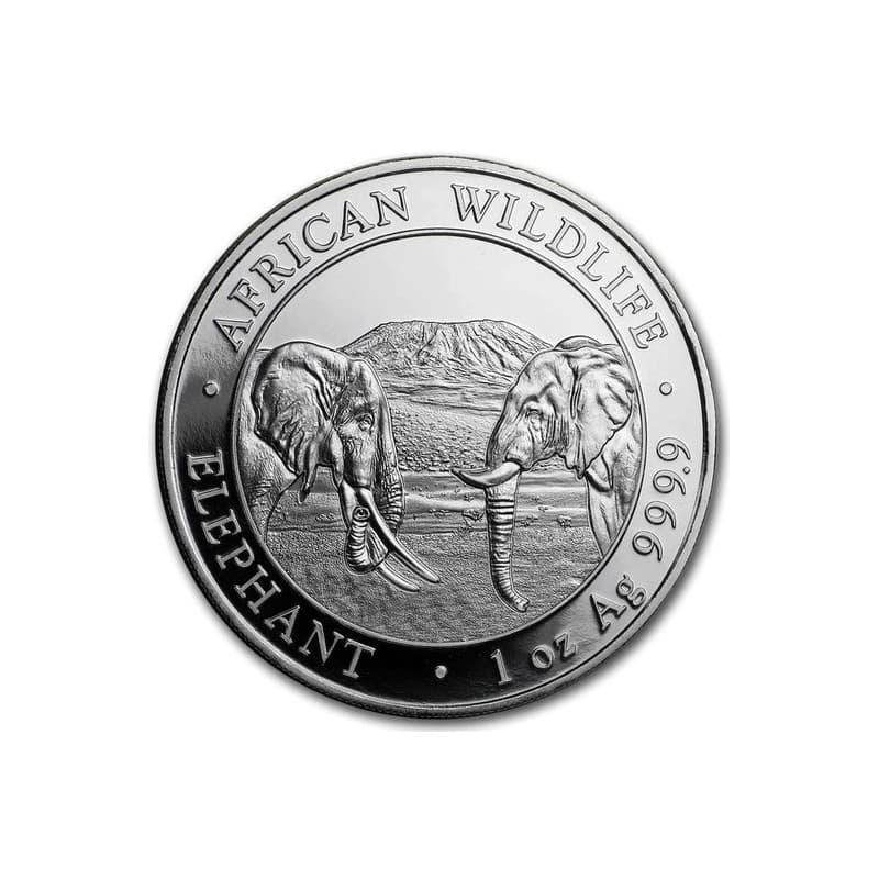 Stříbrná mince 1 Oz African Wildlife Elephant 2020