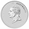 Stříbrná mince 2 Oz Lunar Series III Year of the Horse 2026 Kolorováno