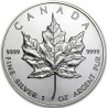 Stříbrná mince 1 Oz Maple Leaf 1994