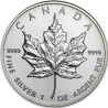 Stříbrná mince 1 Oz Maple Leaf 1995