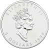 Stříbrná mince 1 Oz Maple Leaf 1999