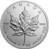 Stříbrná mince 1 Oz Maple Leaf 2001