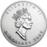 Stříbrná mince 1 Oz Maple Leaf 2001