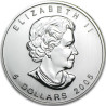 Stříbrná mince 1 Oz Maple Leaf 2005