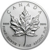Stříbrná mince 1 Oz Maple Leaf 2005