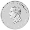 Stříbrná mince 1 Oz Lunar Series III Year of the Horse 2026 Kolorováno (v kartě)