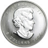 Stříbrná mince 1 Oz Maple Leaf 2008
