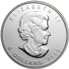 Stříbrná mince 1 Oz Maple Leaf 2009