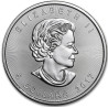 Stříbrná mince 1 Oz Maple Leaf 2017