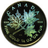Zlatá mince 1/4 Oz Maple Leaf 2001 Holografická