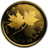 Zlatá mince 1/4 Oz Maple Leaf 2001 Holografická