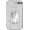 Stříbrná mince ve tvaru slitku 1 Oz Rectangular Dragon 2022