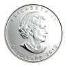 Stříbrná mince 1 Oz Maple Leaf 2013