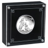 Stříbrná mince 1/2 Oz Lunar Series III Year of the Rabbit 2023 Proof