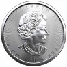 Stříbrná mince 1 Oz Maple Leaf 2021