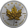Stříbrná mince 1 Oz Maple Leaf 2022 Zlaceno