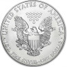 Stříbrná mince 1 Oz American Eagle 2012