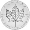 Stříbrná mince 1 Oz Maple Leaf 2012