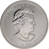 Stříbrná mince 1 Oz Maple Leaf 2011