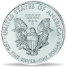 Stříbrná mince 1 Oz American Eagle 1996