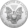 Stříbrná mince 1 Oz American Eagle 2018