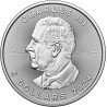 Stříbrná mince 1 Oz Maple Leaf 2024