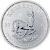 Stříbrná mince 1 Oz Krugerrand různé roky