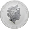 Stříbrná mince 1 Kg Lunar Series II Year of the Dragon 2012