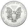 Stříbrná mince 1 Oz American Eagle 2013