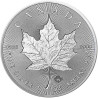 Stříbrná mince 1 Oz Maple Leaf 2019