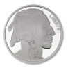 Stříbrná medaile 1 Oz American Buffalo