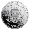 Stříbrná mince 1 Oz African Wildlife Leopard 2018