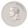 Stříbrná mince 1 Kg Lunar Series III Year of the Snake 2025 Kolorovaná